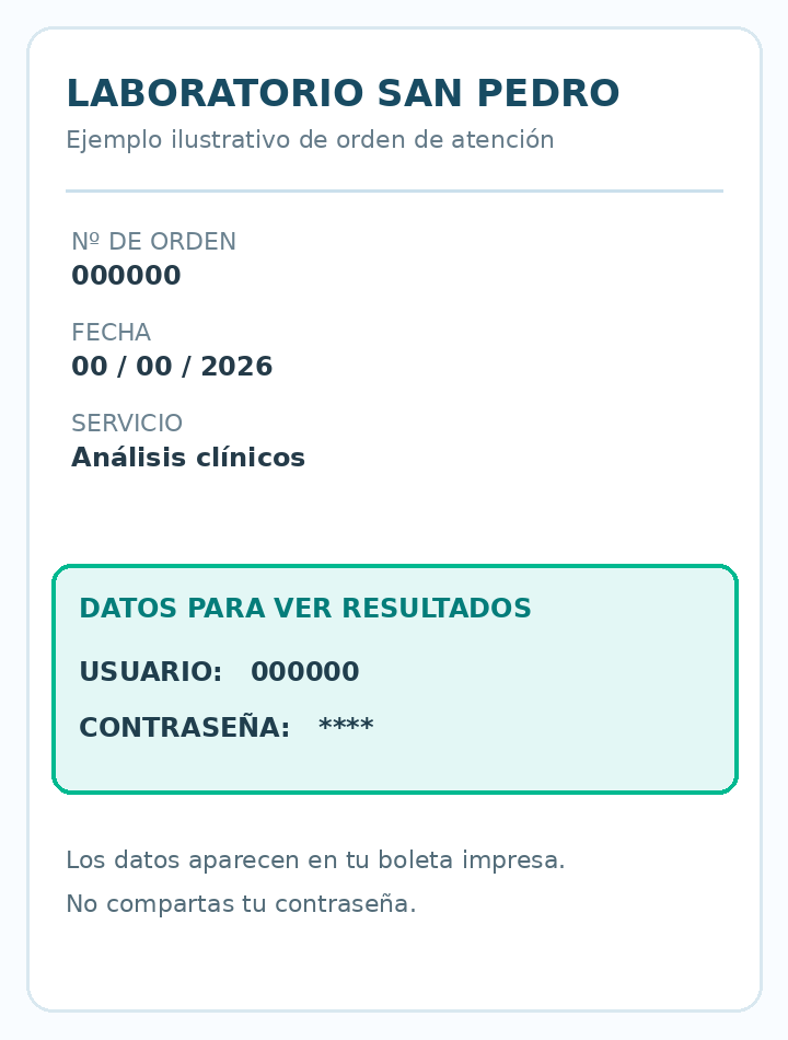 Ejemplo ficticio de una boleta con usuario y contraseña resaltados